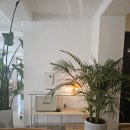 키키앤로지 이미지