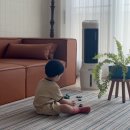 YH산업 | 냉풍기 효과 있을까? 직접 써보니 이런 점은 확실히 달라요 🌬️