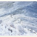 덕유산(대전) 이미지