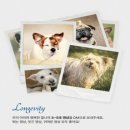 파워독 | [강아지 간식 추천] 관절과 장 건강을 한 번에! 닥터독 젤리츄 대구·황태 후기