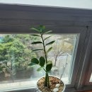 라이프 센터 | 서현동 무릎재활 달리기 후 무릎통증 PFPS 개선 경험 뉴힐링라이프재활운동센터 후기ㅎㅎ