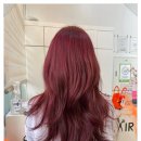 헤어106 이미지