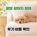 광양 | 광양 강아지 장례 가이드│광양 애견 화장 비용, 후기, 위치 이 글 하나로 끝.