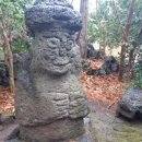 제주도유 이미지