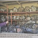 한국중고백화점 이미지