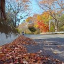 예동마을회관 이미지