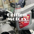 그리폰모터스 이미지