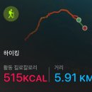 세븐일레븐 울산수암드림점 | [금강산 신선대] 일출산행후기 &amp; 구간별 산행시간(뷰맛집)