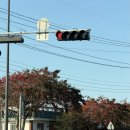 남원읍 공천포구 이미지