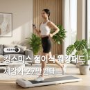 모델워킹건강교실 | 킹스미스 접이식 워킹패드 C2 가정용 런닝머신 홈트 저소음 워킹머신 후기 가격 추천