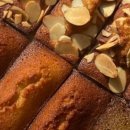 멜트그라운드 이미지