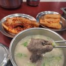 명가원 설렁탕 | 뽀얀 사골 국물에 하루가 정리되는 느낌 – 명가원설농탕 설렁탕 후기