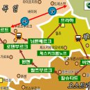 (유)나라투어