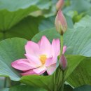 차천 | 오인교의 전라도누정기행-곡성 천산재(天山齋)