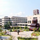 포항공과대학교 Daum카페