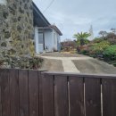 스테이 행원 이미지