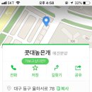 콧대높은 개 이미지