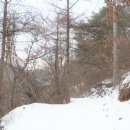 나루터상회 이미지