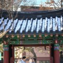 백합주단 이미지