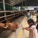 시흥장애인종합복지관 이미지