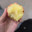 지산과일 | (리뷰) [오늘의집]에서 구매한 6월제철과일 "신비복숭아" 후기+구매링크