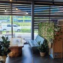 뜰방네효소꽈배기 이미지