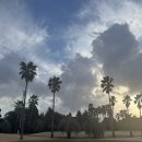 샤인빌파크CC(대중형 18홀) | [제주] 샤인빌파크 컨트리클럽 후기 : 제주다운 제주 골프장