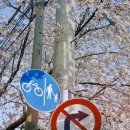 유성온천역 6번출구 이미지