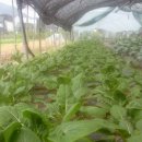 중하농장 이미지