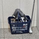 몸을짓다 이미지