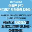 영일만건어물 | [리뷰] 간편한 혼술 안주 부드러운 오징어 - 영일만친구