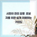 이튼튼치과의원 이미지