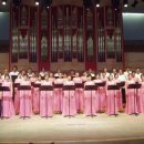 홀리병원 이미지