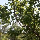 광용농장 이미지