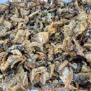 맑은샘센텀병원 이미지