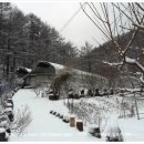 숲속농장 이미지