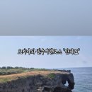 코끼리오락실 이미지