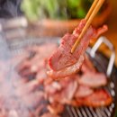 시를 쓰는 오리 이미지