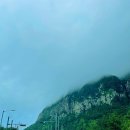 산방산이 보이는 서귀포 카페 추천 하우스오브 테디베어카페