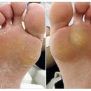 레푸스서초교대역점 이미지