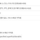 H1618 네이버블로그