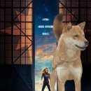 캡틴 켄넬 이미지