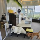 메종드 로이 이미지