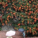 경상누리 이미지