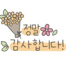 불닭발땡초동대문엽기떡볶이강원 - 양구군 양록길 85 | 불닭발땡초동대문엽기떡볶이강원