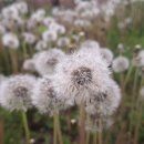 미평공원(오림동) 이미지