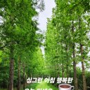 ♡낙조사색(落照思索)♡ 이미지