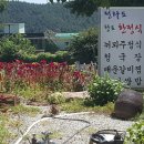 뉘뫼주 이미지