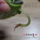 썬2호 이미지