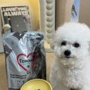 퍼스트초이스 | 비숑 알러지사료 추천하는 플러피랩 퍼스트초이스 하이포알러지 오리고기 2kg 급여후기